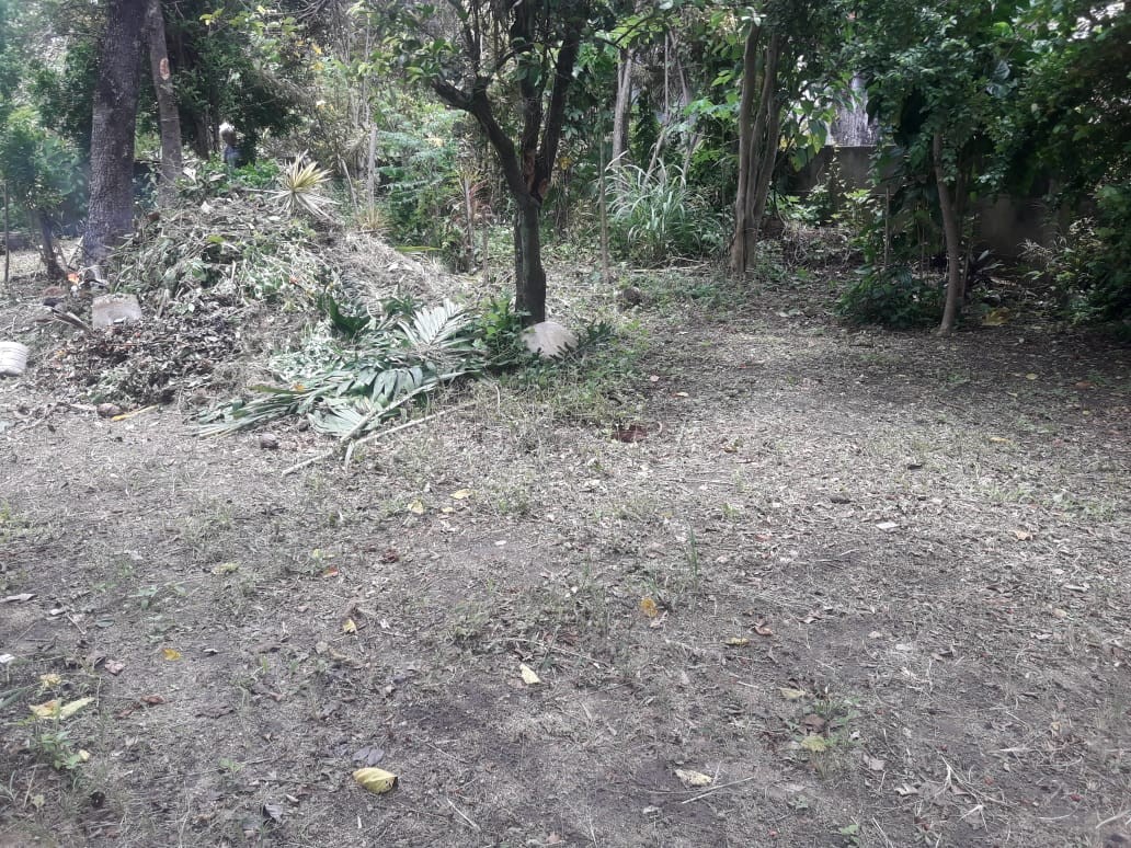 Sítio à venda com 4 quartos, 780m² - Foto 14